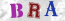 Güvenlik Resmi